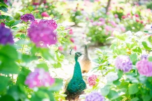 한림공원
