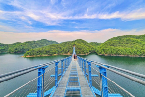 국내 최장 309m 출렁다리! 진천 초평호에서 만나는 여름 힐링 산책